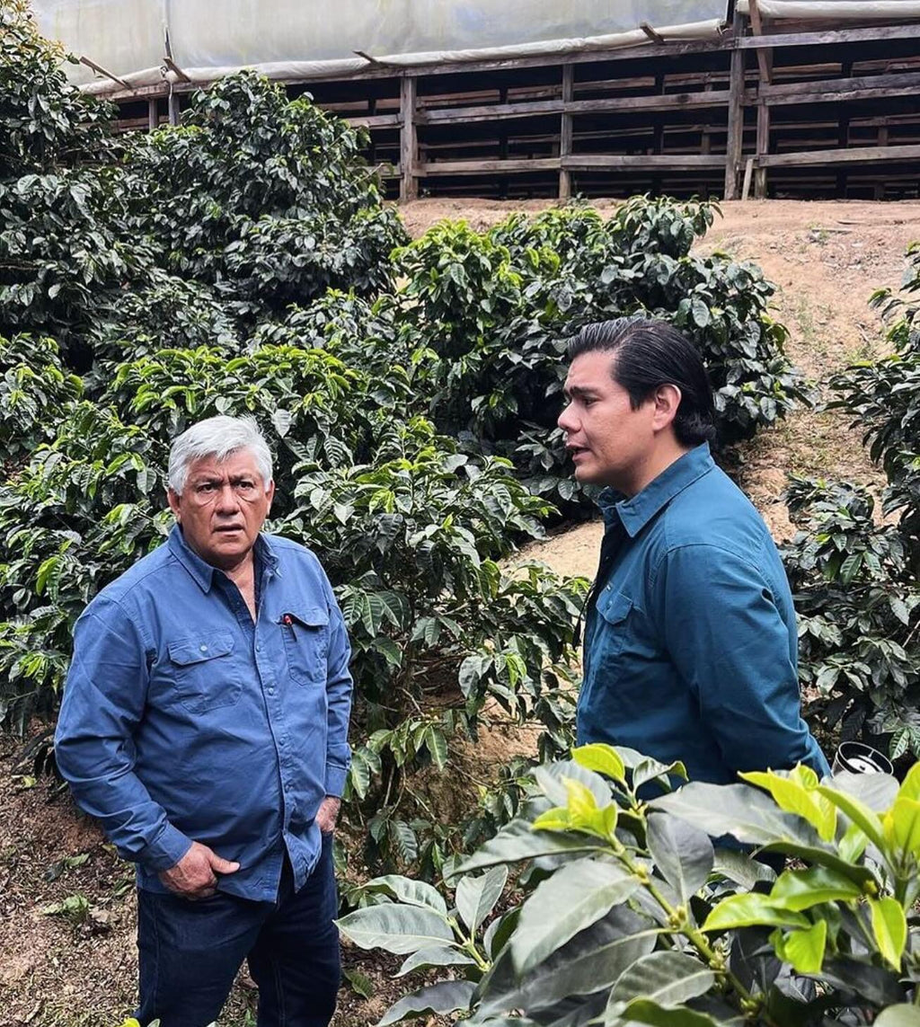 GUATEMALA