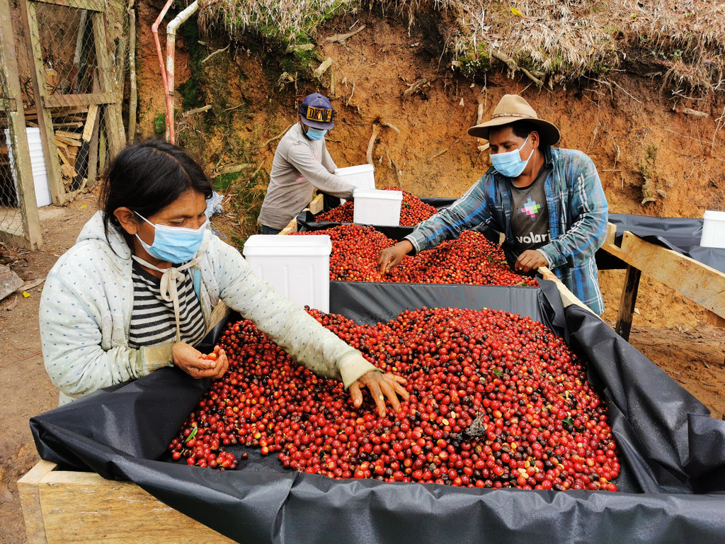 GUATEMALA