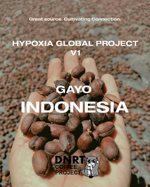 INDONESIA